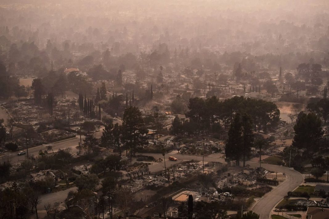 Los Angeles Residents: Pick Up Your Free N95 Masks at Libraries and Local Centers