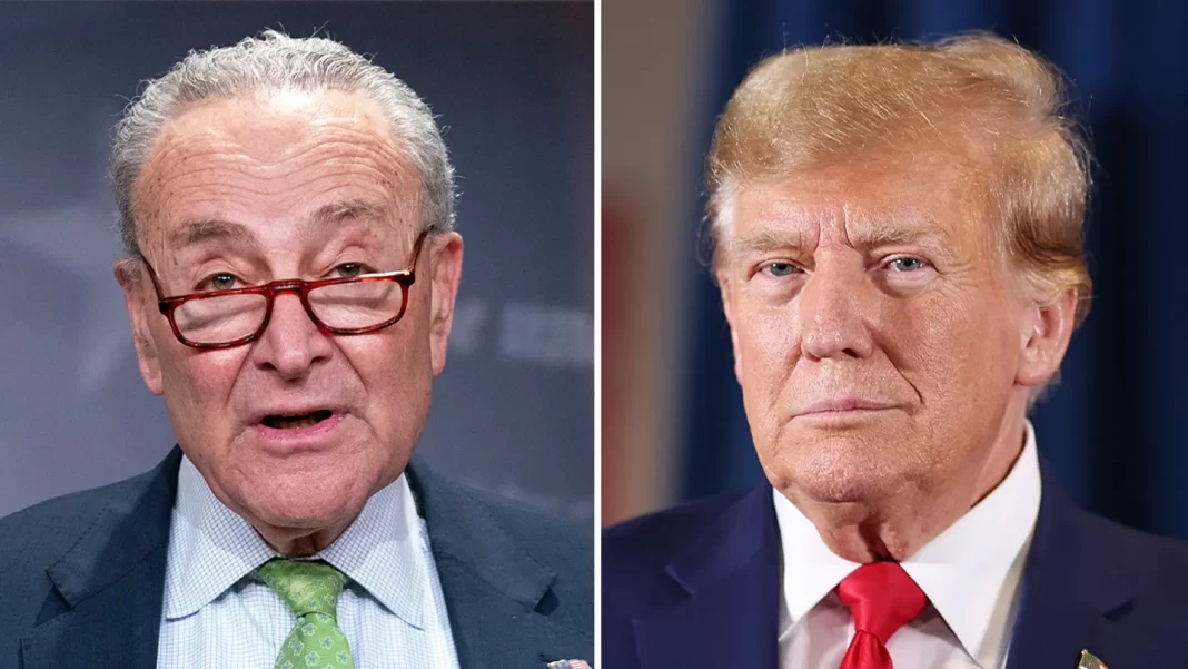 Chuck Schumer Pledges to Vote to Keep Government Open: A Shutdown Would Be a Gift for Donald Trump