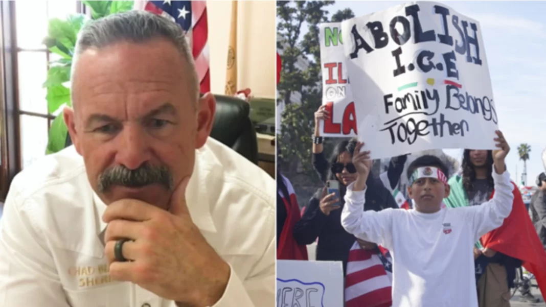 California Sheriff Slams Harris’ Comment on Anti-ICE Riots as ‘Embarrassing’
